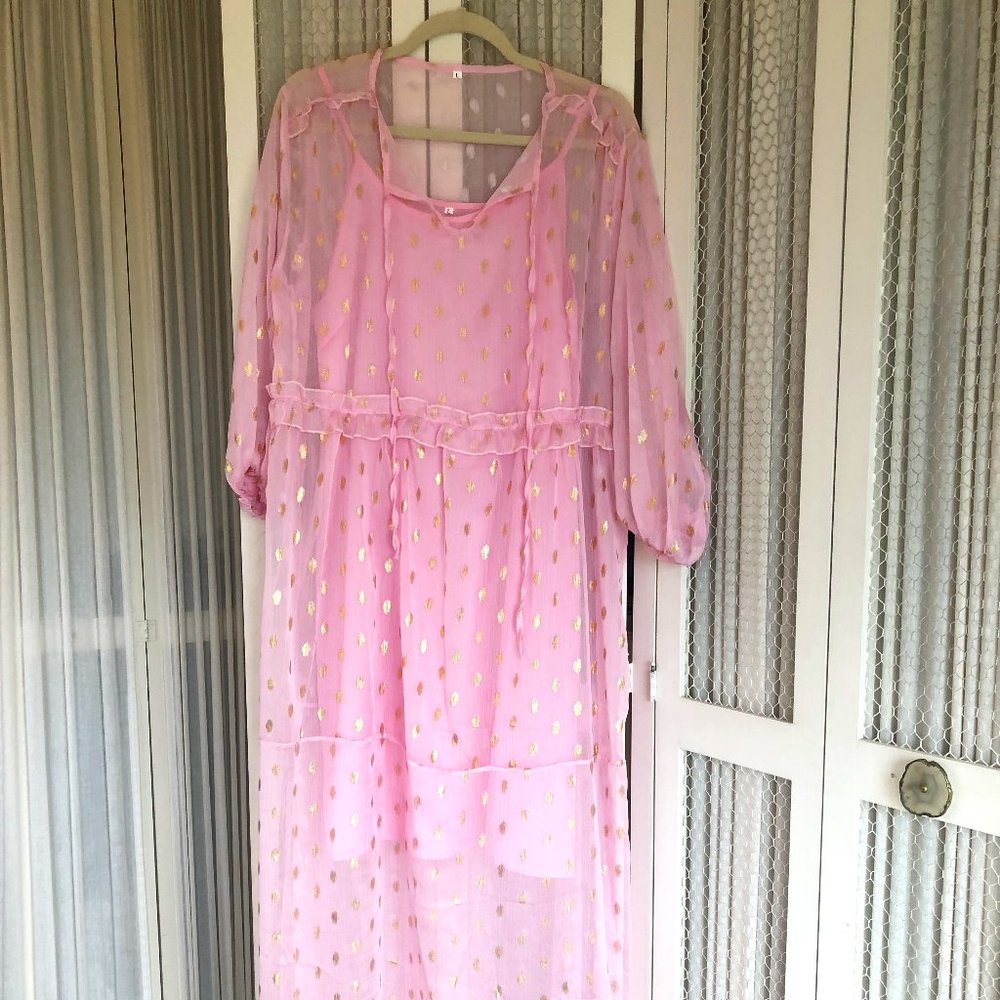 Sheer Pink & Gold Dress
